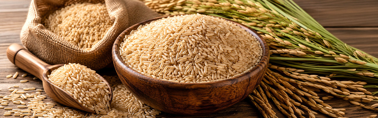 Arroz Integral