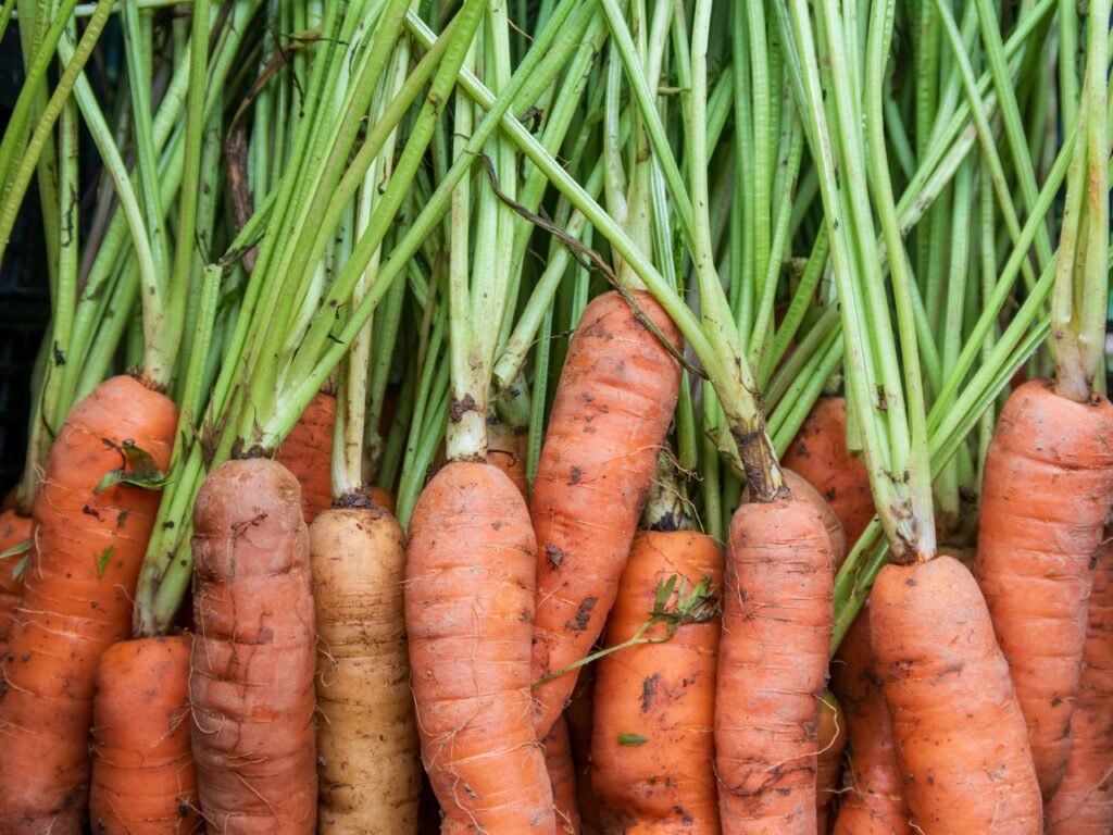 a bunch of carrots are stacked up together